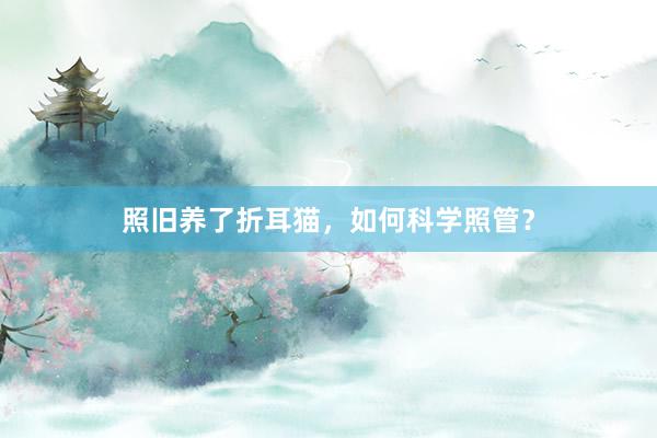 照旧养了折耳猫，如何科学照管？