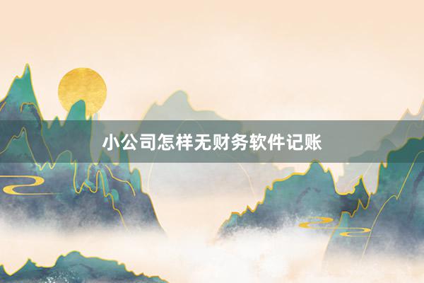 小公司怎样无财务软件记账